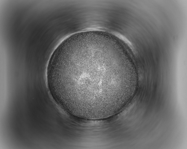 X0000094771423200711301517