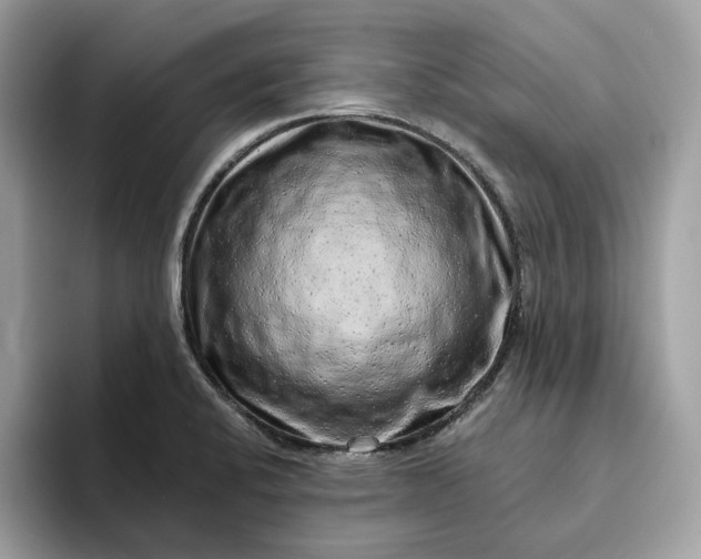 X0000094771424200711301517