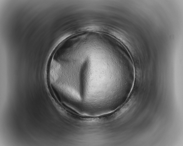 X0000094771426200711301517