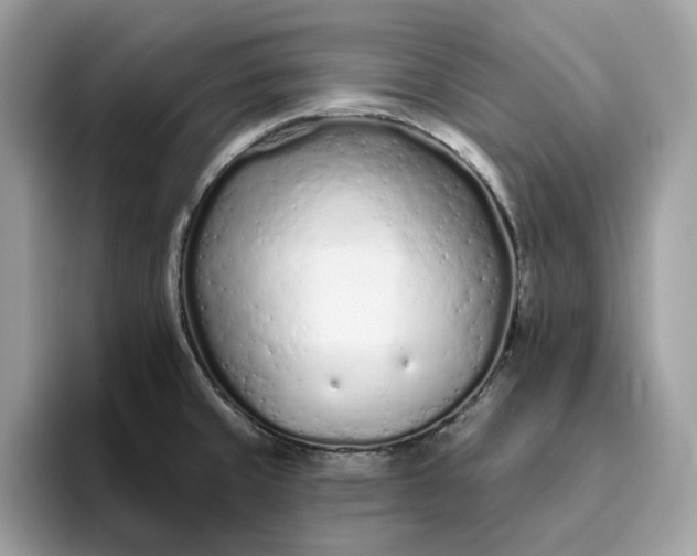 X0000094771429200711301517