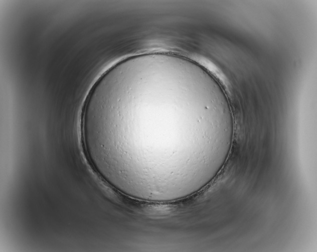 X0000094771431200711301517