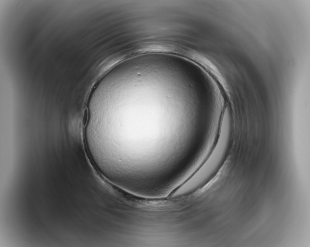 X0000094771433200711301517