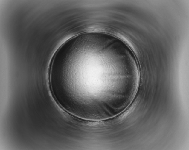 X0000094771434200711301517