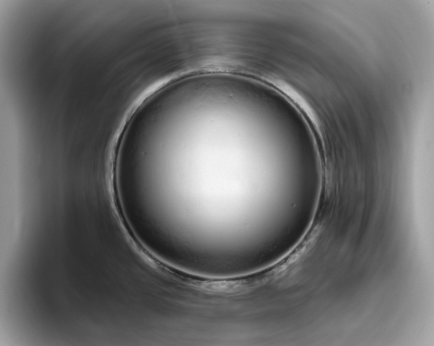 X0000094771437200711301517