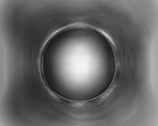 X0000094771438200711301517