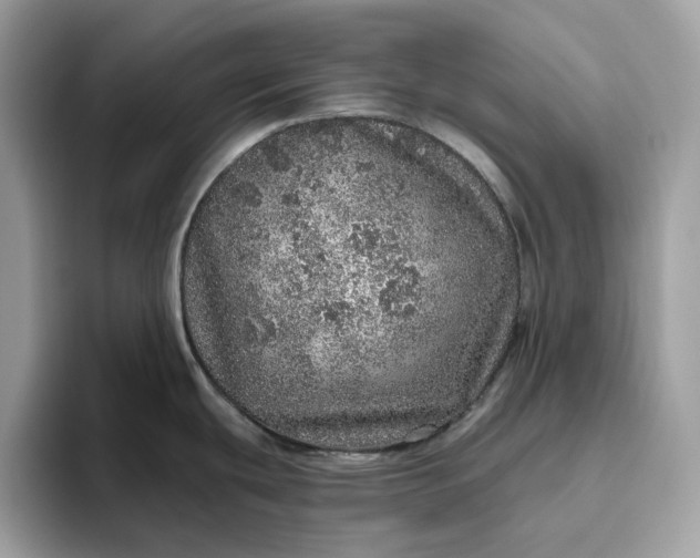 X0000094771439200711301517