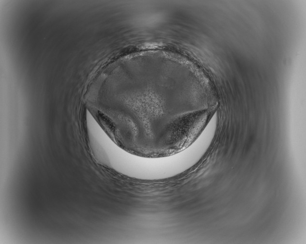 X0000094771441200711301516