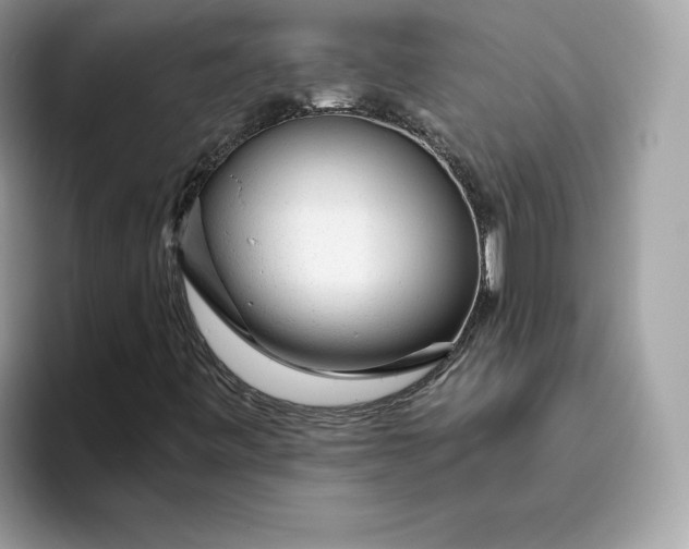 X0000094771443200711301516