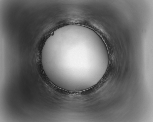 X0000094771447200711301516