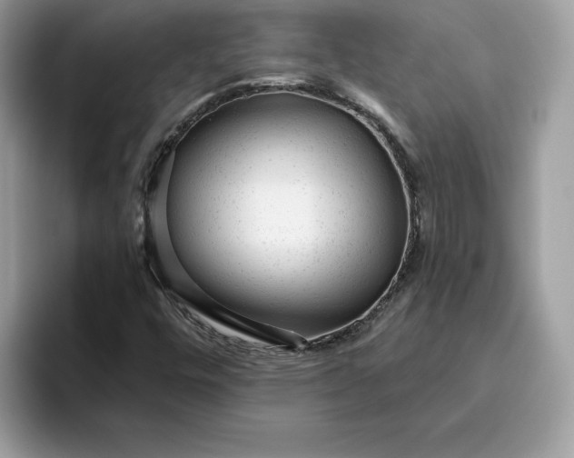 X0000094771448200711301516