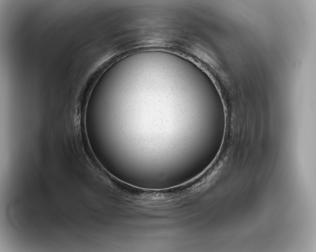 X0000094771450200711301516