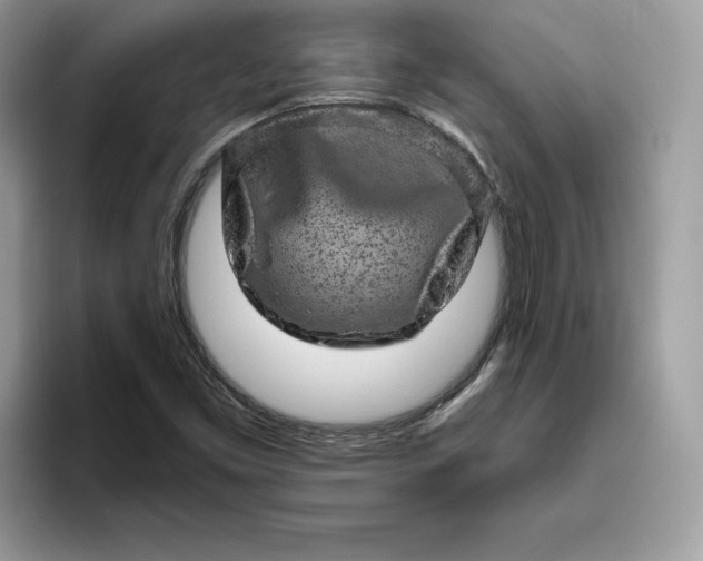 X0000094771453200711301516