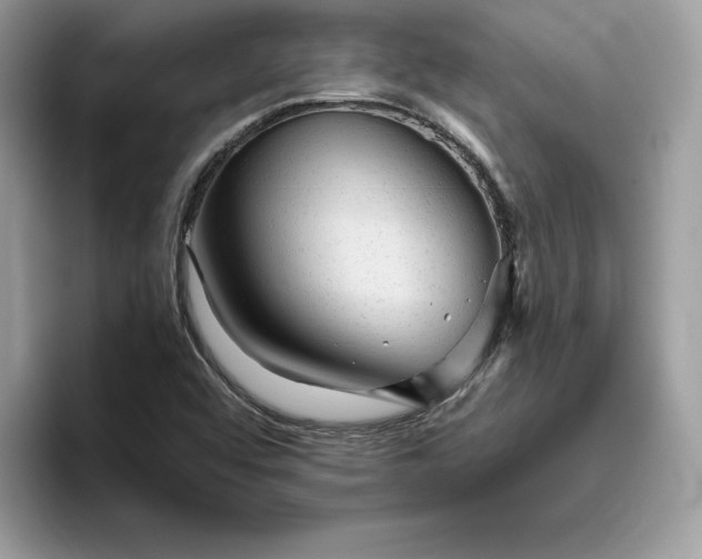 X0000094771456200711301516