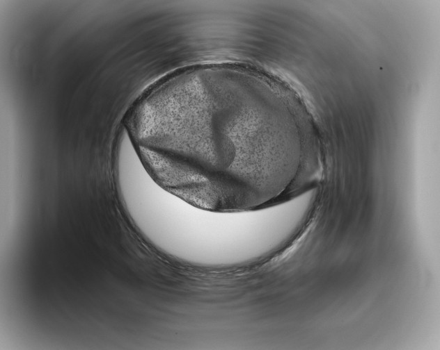 X0000094771457200711301516