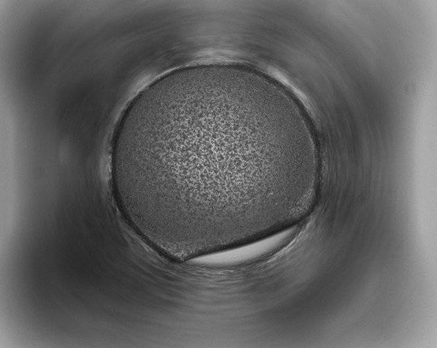 X0000094771459200711301516