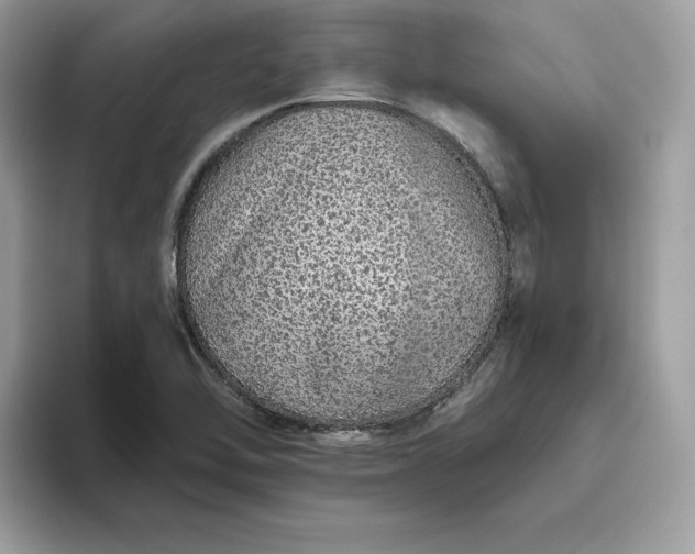 X0000094771462200711301516