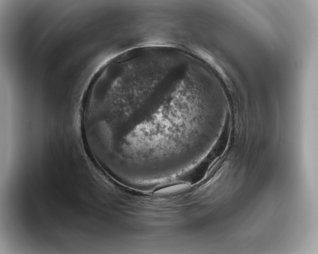 X0000094771463200711301516