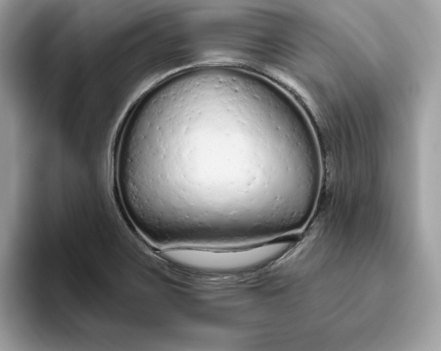 X0000094771467200711301516