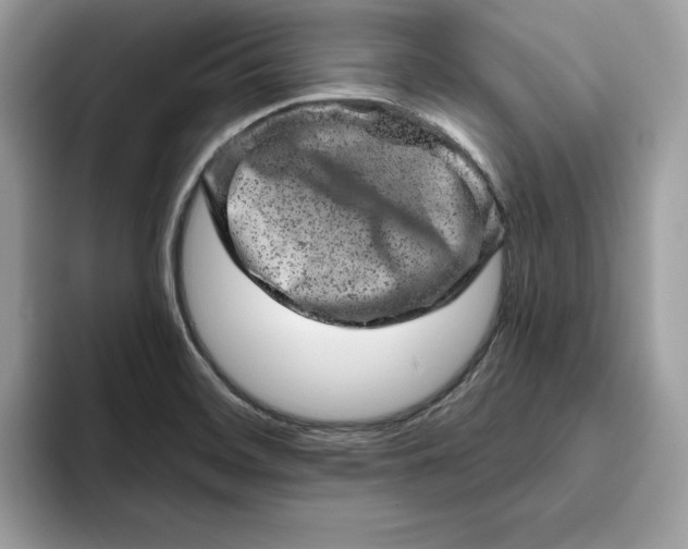 X0000094771468200711301516