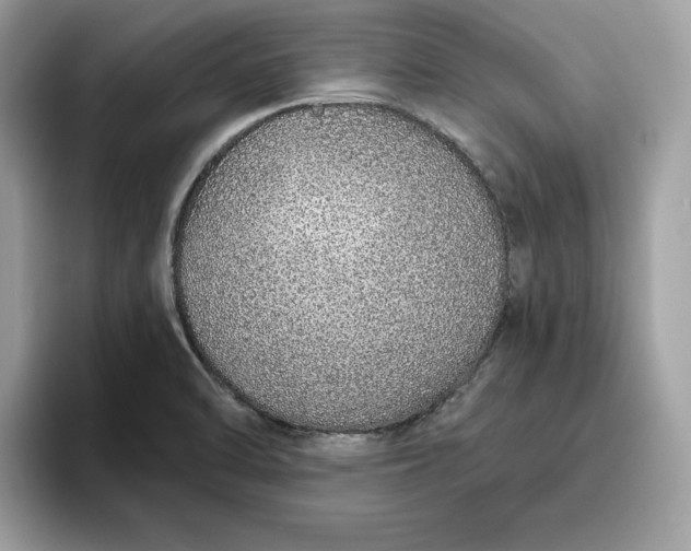 X0000094771470200711301516