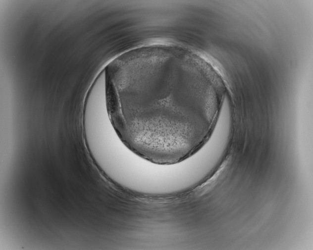 X0000094771473200711301516