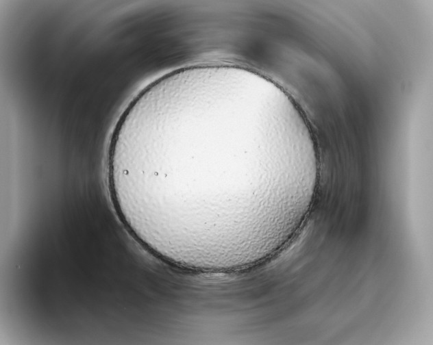 X0000094771478200711301516