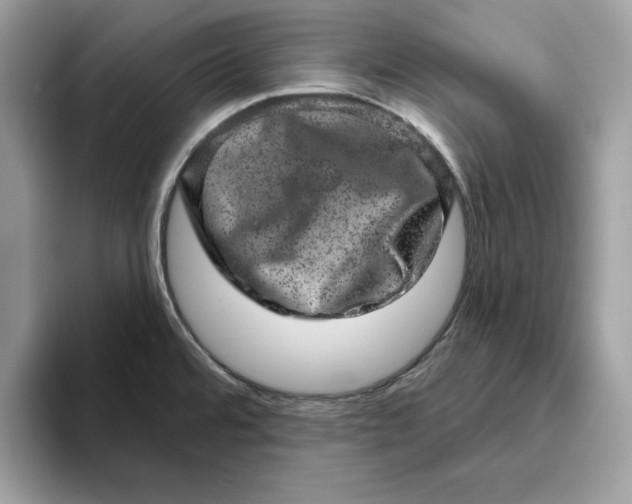 X0000094771480200711301516