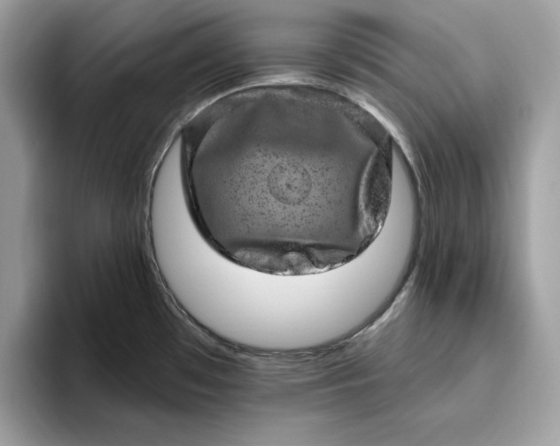 X0000094771481200711301516