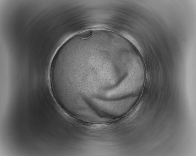 X0000094771482200711301516