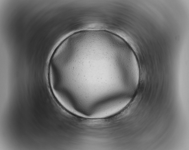 X0000094771486200711301516