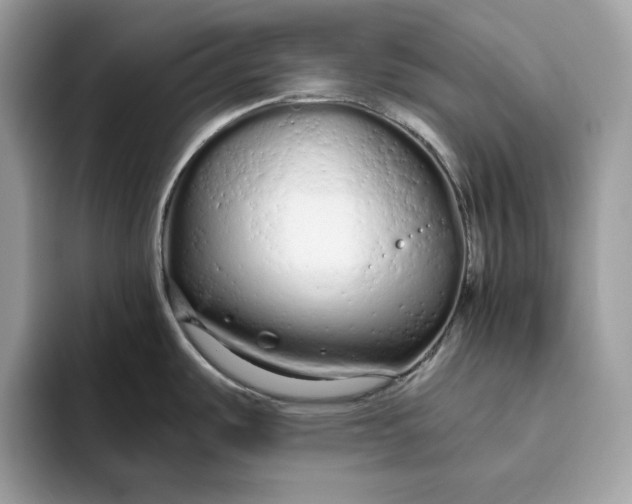 X0000094771487200711301516