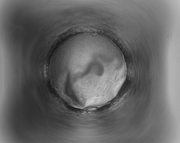 X0000094771490200711301515