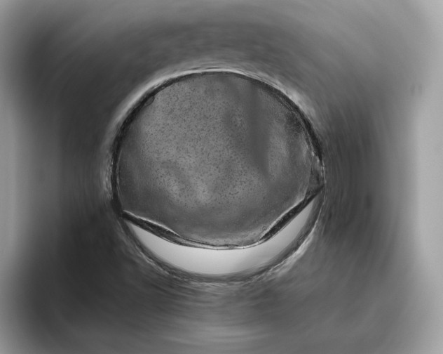 X0000094771502200711301515