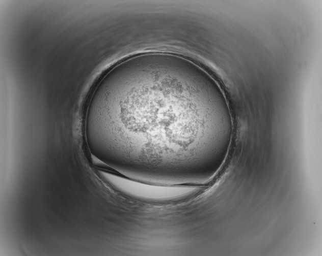 X0000094771506200711301515