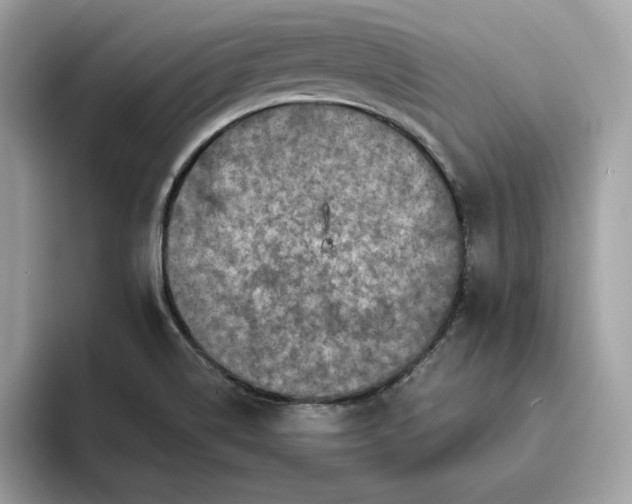 X0000094771514200711301516