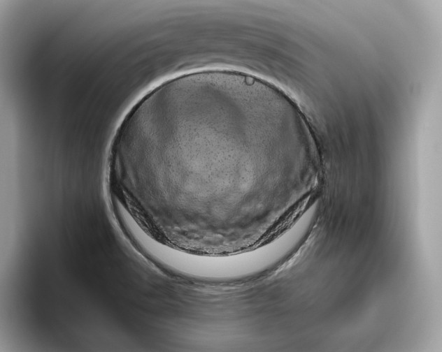 X0000094771518200711301516