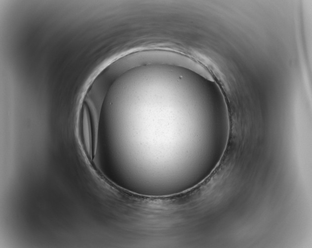 X0000094771520200711301516