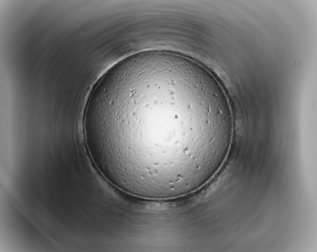 X0000094771521200711301516