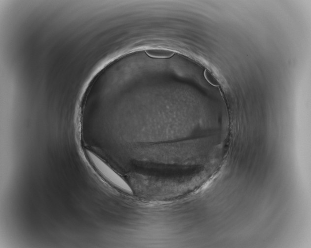 X0000094771522200711301516