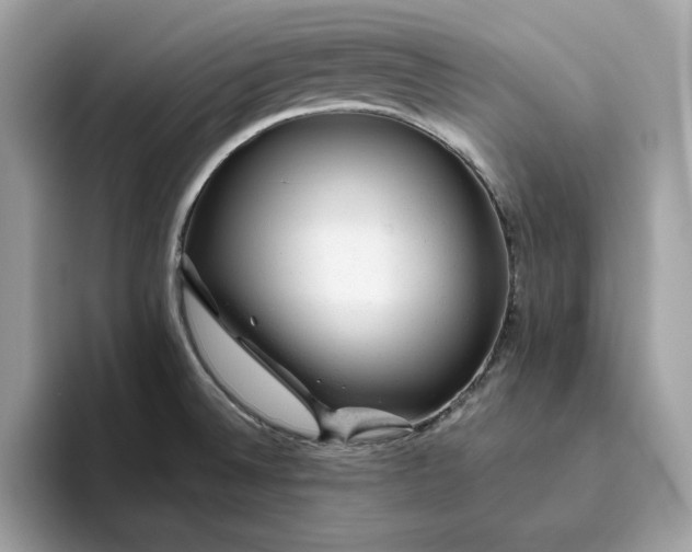 X0000094771524200711301516