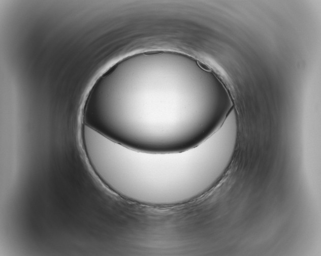 X0000094771528200711301516