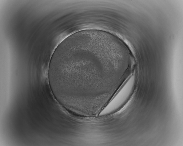 X0000094771529200711301516