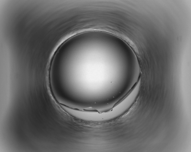 X0000094771530200711301516