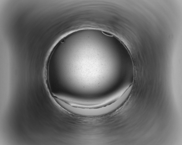 X0000094771531200711301516