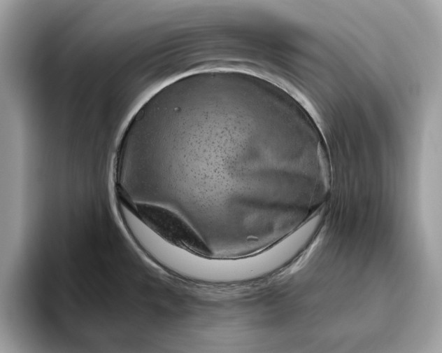 X0000094771533200711301516