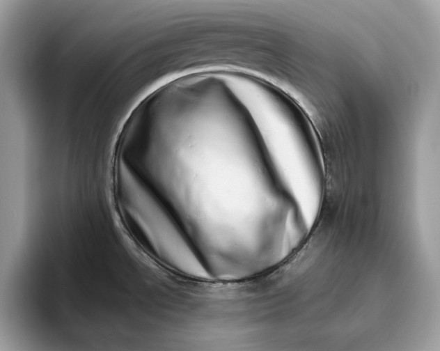 X0000094771534200711301516