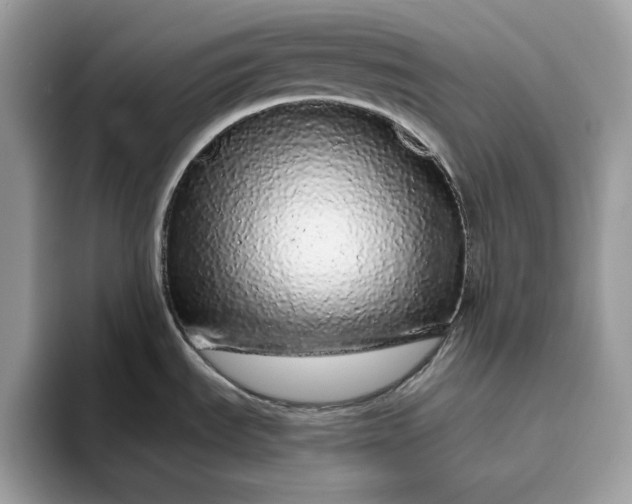 X0000094771535200711301516