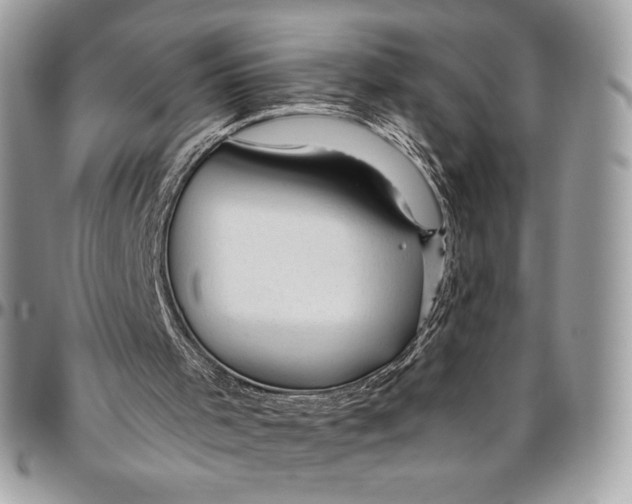 X0000094770001200712071144