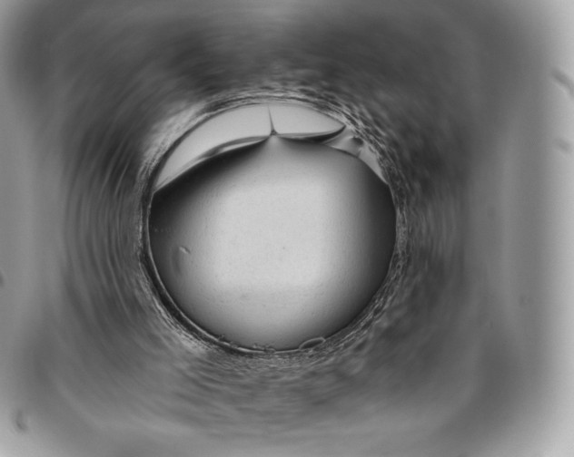 X0000094770005200712071144