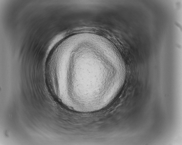 X0000094770006200712071144